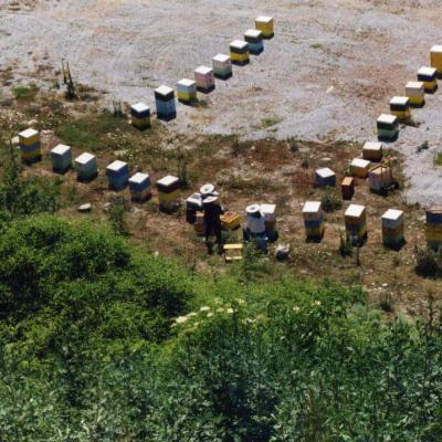 Pieria Ore 2